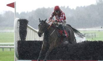 Ante-post Turners Novices' Chase preview: Keep it simple with Mighty Potter