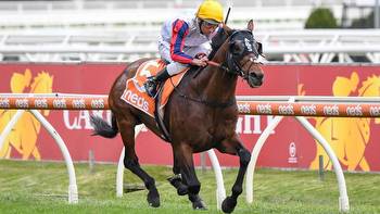 Anthony and Sam Freedman have high hopes in the Caulfield and Melbourne Cups with Realm Of Flowers and Delphi