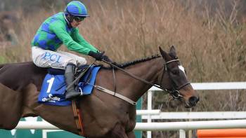 Appreciate It cut for Sporting Life Arkle after beginners chase win at Punchestown