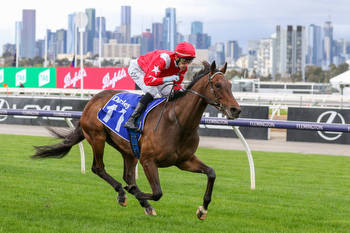 Aptly named galloper chases Mornington Cup win