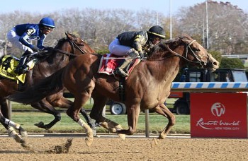 Aqueduct: Bold Journey passes them all in Fall Highweight 'Cap