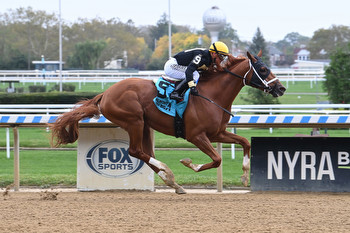 Aqueduct- Jerome Stakes Preview, Odds & Pick