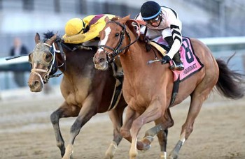 Aqueduct: Raging Sea holds off Julia Shining to capture Comely