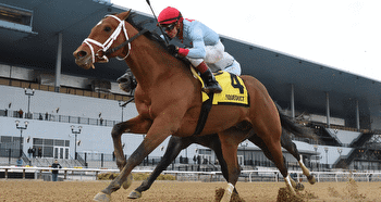 Aqueduct Saturday: Kentucky Derby Prep, Gotham Analysis