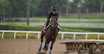 Arabian Knight is early 3-1 favorite for Breeders' Cup