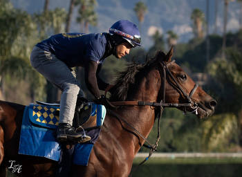 Arabian Knight Returns In Deep Kentucky Derby Prep