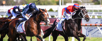 Arc "Once in a lifetime opportunity" for Zahra