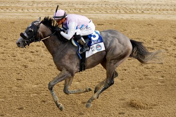 Arcangelo’s Trainer Jena Antonucci Eyes The Breeders’ Cup Classic For The Travers Winner