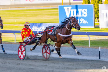 Ardens Horizon NZ Adds York Cup to his Resume