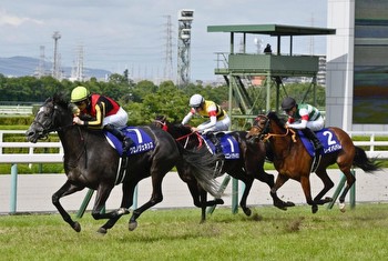 Arima Kinen Boasts Top Talent, Abundant Mix of Winners