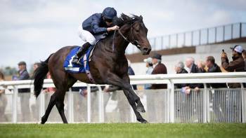 Arizona another Coventry favourite for a race Aidan O'Brien has made his own