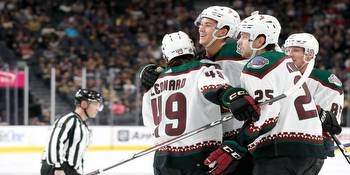 Arizona Coyotes add veterans to join skilled young players in third year of a steady rebuild