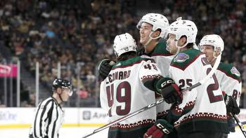 Arizona Coyotes add veterans to join skilled young players in third year of a steady rebuild Arizona News