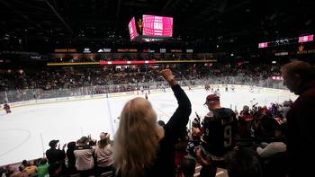 Arizona Coyotes NHL relocation speculation includes Salt Lake City