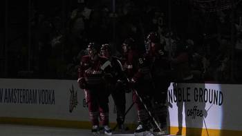 Arizona Coyotes vs. Anaheim Ducks odds, tips and betting trends