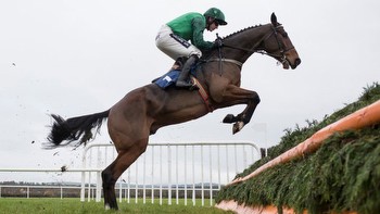 Arkle ace Footpad makes point-to-point return