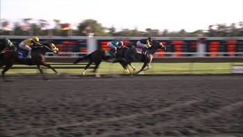 Arlington Park International Racecourse, Illinois horse racing track, closes after nearly a century