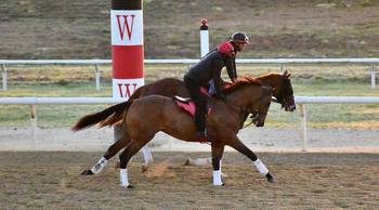 Armagnac comes East for the 147th Preakness