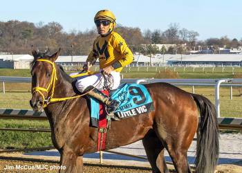 Armando R, Swayin To And Fro, Little Vic Sparkle In Stakes At Laurel Park