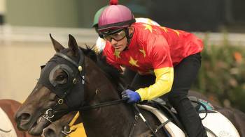 Artorius remains on track for Ascot trip