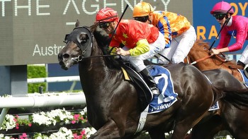 Artorius' wild ride from a $120k yearling to $25m stallion prospect