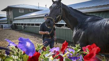 As Triple Crown chase rolls on, horse racing at a crossroads after latest spate of deaths