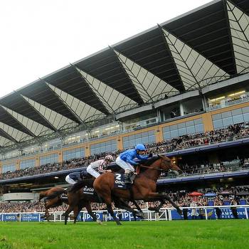 Ascot Champions Day 2013 Results: Winner, Payouts and Order of Finish