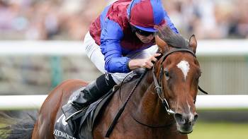 Ascot Champions Day outsiders to follow each-way on Saturday with 33/1, 20/1 and 12/1 hopefuls