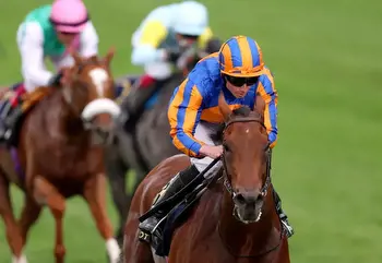 Ascot Champions Day tips, odds, preview and free bets