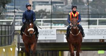 Ascot on Saturday: Three each-way tips and key runners as Home Affairs chases sprint win