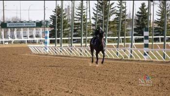 Assiniboia Downs season to start later due to weather