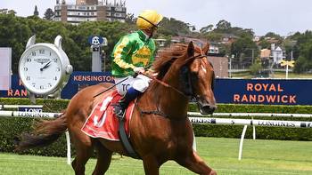 Ausbred Flirt ready for Saturday grade test at Randwick