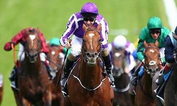 Australia odds-on favourite for Qipco Irish Champion Stakes win at Leopardstown