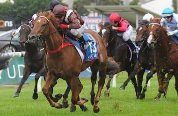 Australia racing: Golden Rose features deep 13-horse field