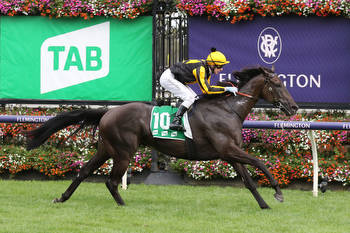 Australian Cup at Flemington Tips, Race Previews and Selections