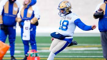 Australian punter Haggerty could be secret weapon in Grey Cup for Argos