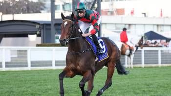 Australian Turf Club consider options with The Everest slot