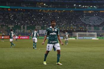 Avai vs Palmeiras Prediction and Betting Tips