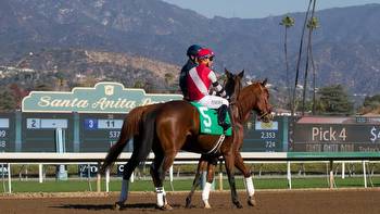 Awesome Again Stakes (Santa Anita) Predictions, Odds & Picks