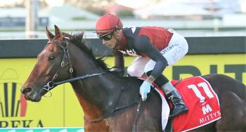 Axe ready to chop down George Moore Stakes rivals