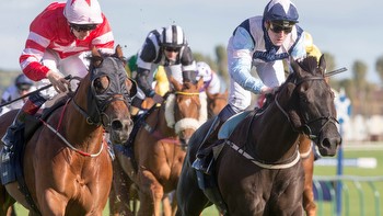 Ayr Gold Cup runners and riders list plus Templegate tip who's in 'form of his life' for Saturday cavalry charge