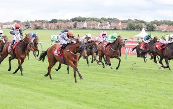 Ayr Gold Cup tips and runners guide to Ayr 3.35 on Saturday
