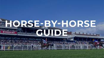 Ayr Gold Cup tips: Horse by horse guide and big-race preview