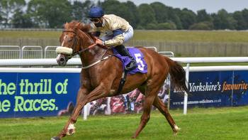 Ayr Gold Cup tips: Horses to consider for valuable handicap this weekend