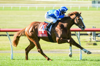 Aysar out for redemption in Bletchingly Stakes