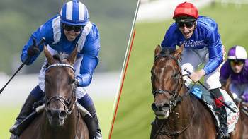 Baaeed v Adayar: how do the Champion Stakes rivals compare?