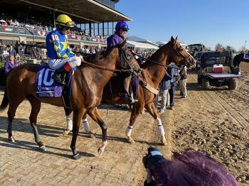 Baffert hopes to strike Preakness gold with National Treasure