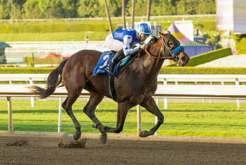 Baffert Trio Top Sunday's G3 Bob Hope Stakes at Del Mar