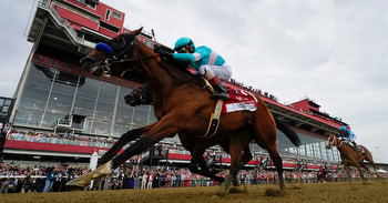 Baffert’s National Treasure Wins Preakness After Another Horse Is Fatally Injured