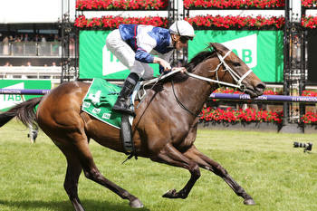 Ballarat Cup tipped to be a wide open field